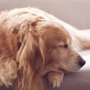 웰씨코리아 이미지