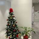 강남센트럴안과의원 이미지