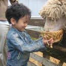 민재목장 이미지