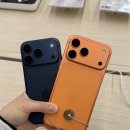 블루세이지 | 아이폰 17프로,일반,에어 전색상 실물후기 코스믹 오렌지 딥블루 실버 라벤더 세이지