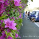 군포-산본-2014 이미지