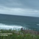 구룡포 다무포해변20260809 이미지