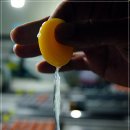 장성양계장 이미지