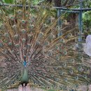 가보농장 이미지