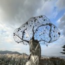 아미초교 | 부산 서구 누리바라기 전망대 산복도로 여행코스 가는 방법 솔직 후기