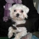 김정복 동물병원 이미지