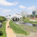 하천(대전천2) 이미지