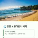 시원한여행 네이버블로그