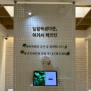 성북-길음-3309 | 길음역 남자 머리 미용실 추천 | 헤어위로 디자인 컷 + 다운펌 후기