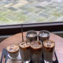 매그네이트 이미지