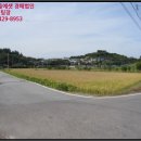 가덕리 경로당 네이버블로그