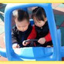 용현 놀이터 Daum카페