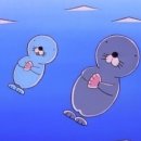 대구학생문화센터 수영장 이미지