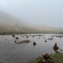 대문목장 이미지