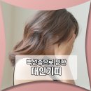 백선다방 이미지