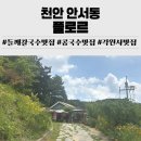 천안콩국수맛집 플로르 들깨칼국수도 최고