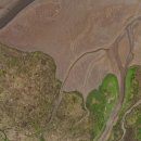 블레스동물메디컬센터 이미지