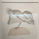 [무료전시] Rabbit Eating Seaweed : Inuit Art