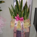 고른이치과의원 이미지