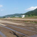 북천꽃단지 이미지