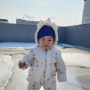신신고