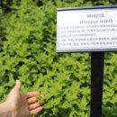 (주)허브동산