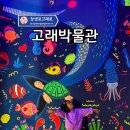 울산해양박물관 | 울산 장생포 고래박물관 비용 주차 소요시간 기본정보 가득 후기!