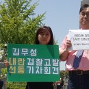 평화나무