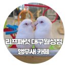 리프패럿대구 | 리프패럿 대구 월성점/ 대구 앵무새 먹이주기 체험