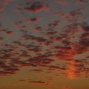 품다 하나 이미지