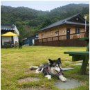 팔봉수피아 이미지