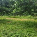 기북농장 이미지