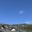 [일상] 직짱인 첫 야유회! 월출산 달빛정원펜션 후기 (단체숙소, 영암펜션, 한옥펜션)
