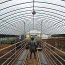 알콩달콩 흑염소 농장 이미지