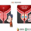 좋은먹거리