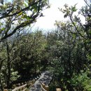 가거도 태양 이미지