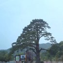 [청주] 3박4일 청주 혼자여행 3일차 (2)