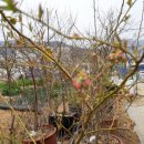 장복농장 이미지