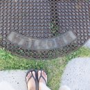 테라펜션(풀빌라) 이미지