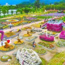 콧노래 흥얼거리며 즐기는 피크닉, 흥크닉 오세요! 9월 축제·공연 이미지