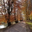 공용재산 토지 이미지