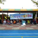 예산 시량초등학교 서심회 가을운동회 이미지