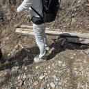 등린이의 지리산 천왕봉 등산코스 후기 (+날씨, 주차, 시간, 뷰)
