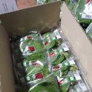 서대산농장 이미지