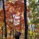 금강산 화암사와 신선대 & 척산온천 족욕공원 이미지