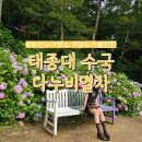 부산관광공사 부산시티투어 | 부산 수국 명소 영도 가볼만한 곳 태종대 다누비열차
