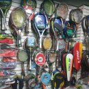 영스포츠 이미지