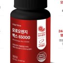 오렌지컴퍼니