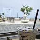 솔비치카페 이미지