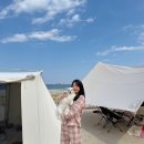 태양과바다 야영장 | 고성 애견동반 삼포해수욕장 노지캠핑장 야영장 정보 총정리